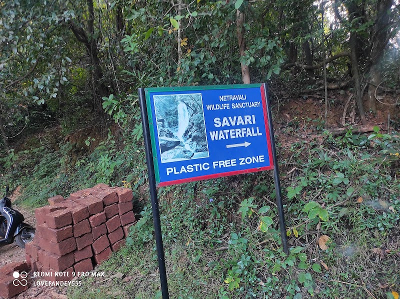Neturlem Waterfall (Savri) - Neturlem Waterfall (Savri) 366J+FQM, Neturlim, Goa 403704, India