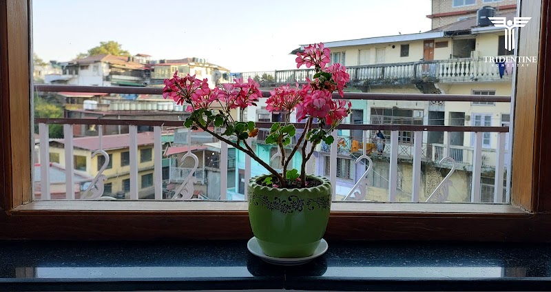 Tridentine Homestay Mussoorie - Tridentine Homestay Mussoorie Studio Lodge, Kulri Bazaar, The Mall Road, Mussoorie, Uttarakhand 248179, India