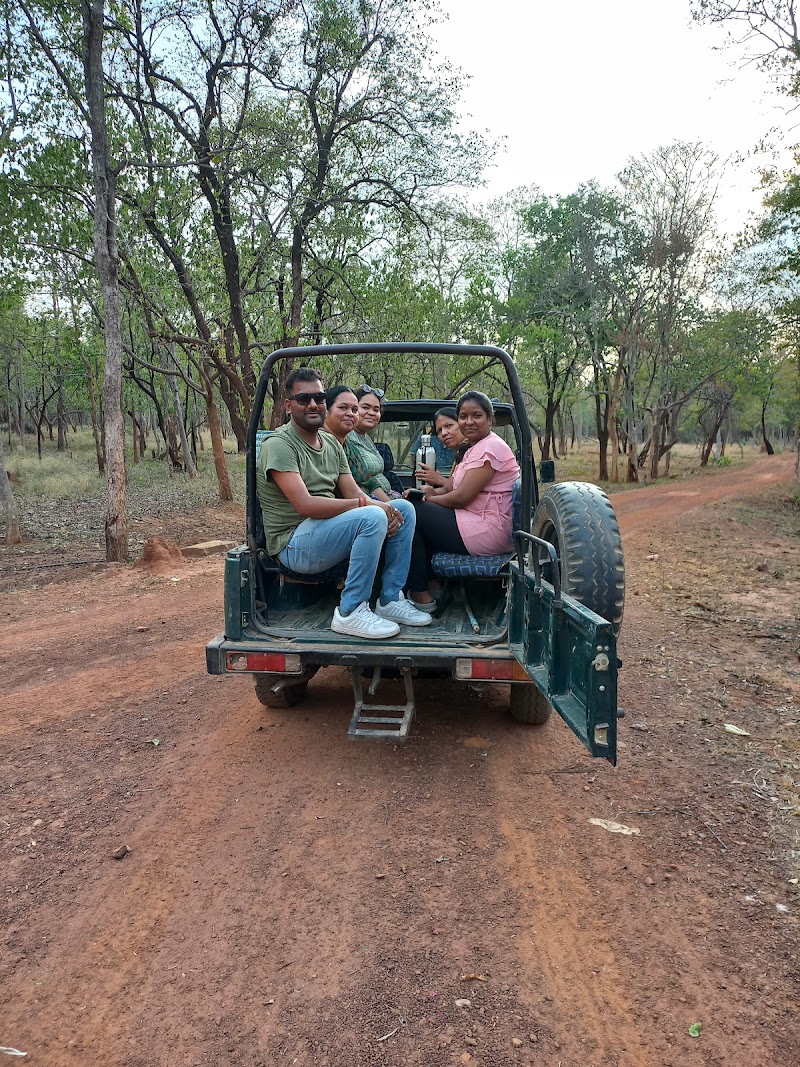 Gomarda Wildlife Sanctuary (ABHYARANYA) - Gomarda Wildlife Sanctuary (ABHYARANYA), C55P+9J8, Chhattisgarh 496445, India