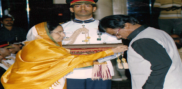 NELSON ART STUDIO - NELSON ART STUDIO Sector 1, Bhilai, Chhattisgarh 490001, India
