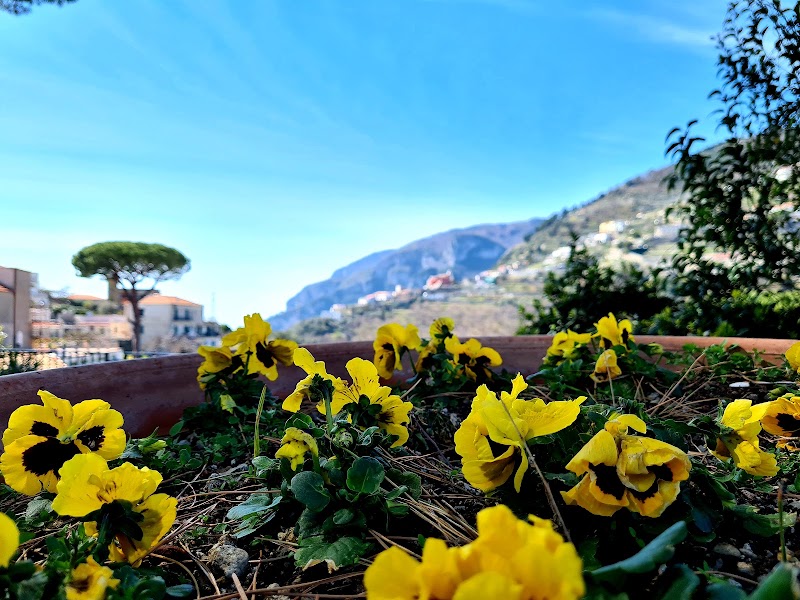 Ravello - Ravello 84010 Ravello, SA, Italy