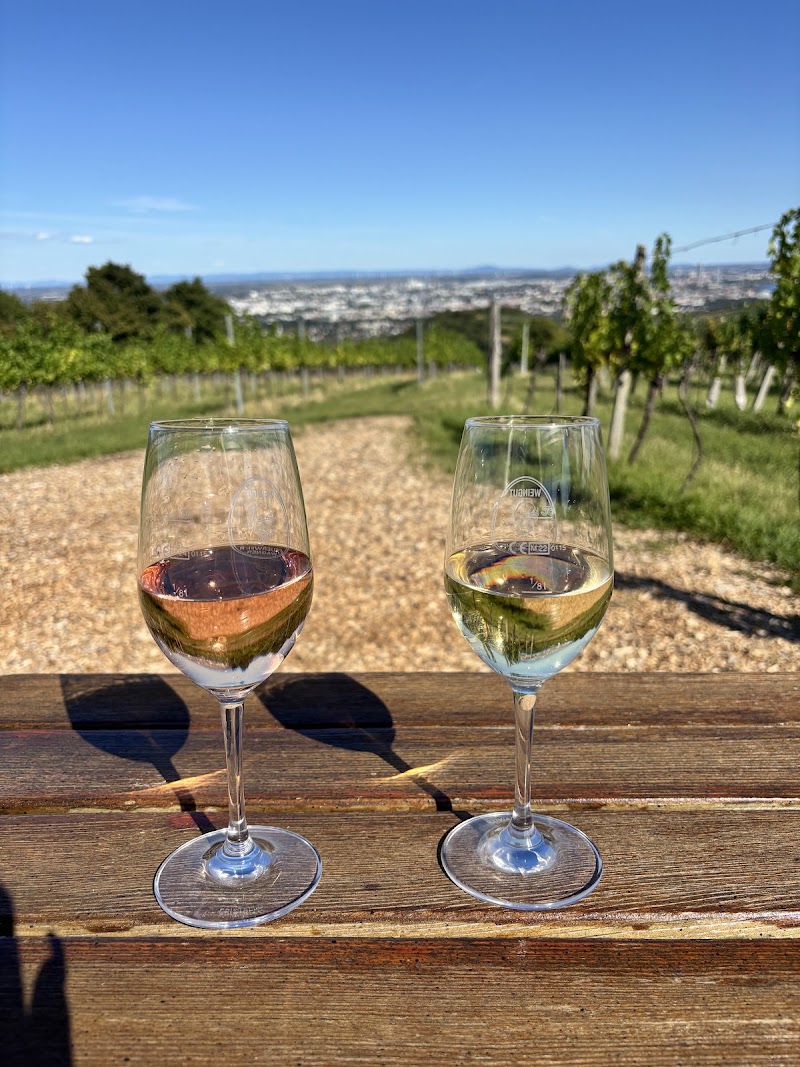 Weingut Wailand - Weingut Wailand, Kahlenberger Str. 220, 1190 Wien, Austria