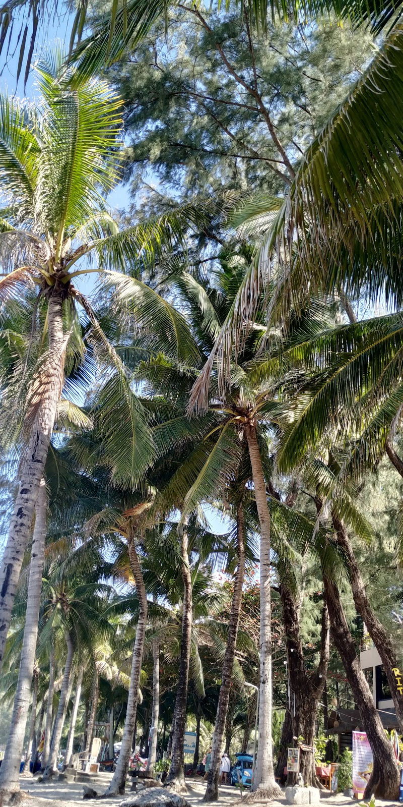 Kamala Beach - Kamala Beach Kamala Beach, Kamala, Phuket 83120, Thailand