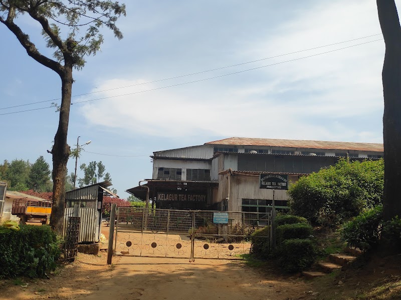 Kelagur Tea Factory - Kelagur Tea Factory, 5F27+H5R, Kelagur, Megur, Karnataka 577122, India