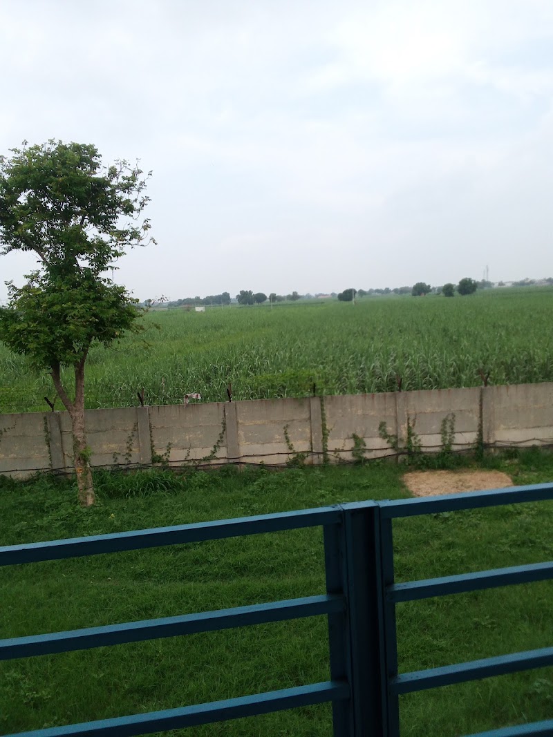 QA/QC - QA/QC, MMF2+WH, Mubarikpur Badarkha, Uttar Pradesh 245304, India