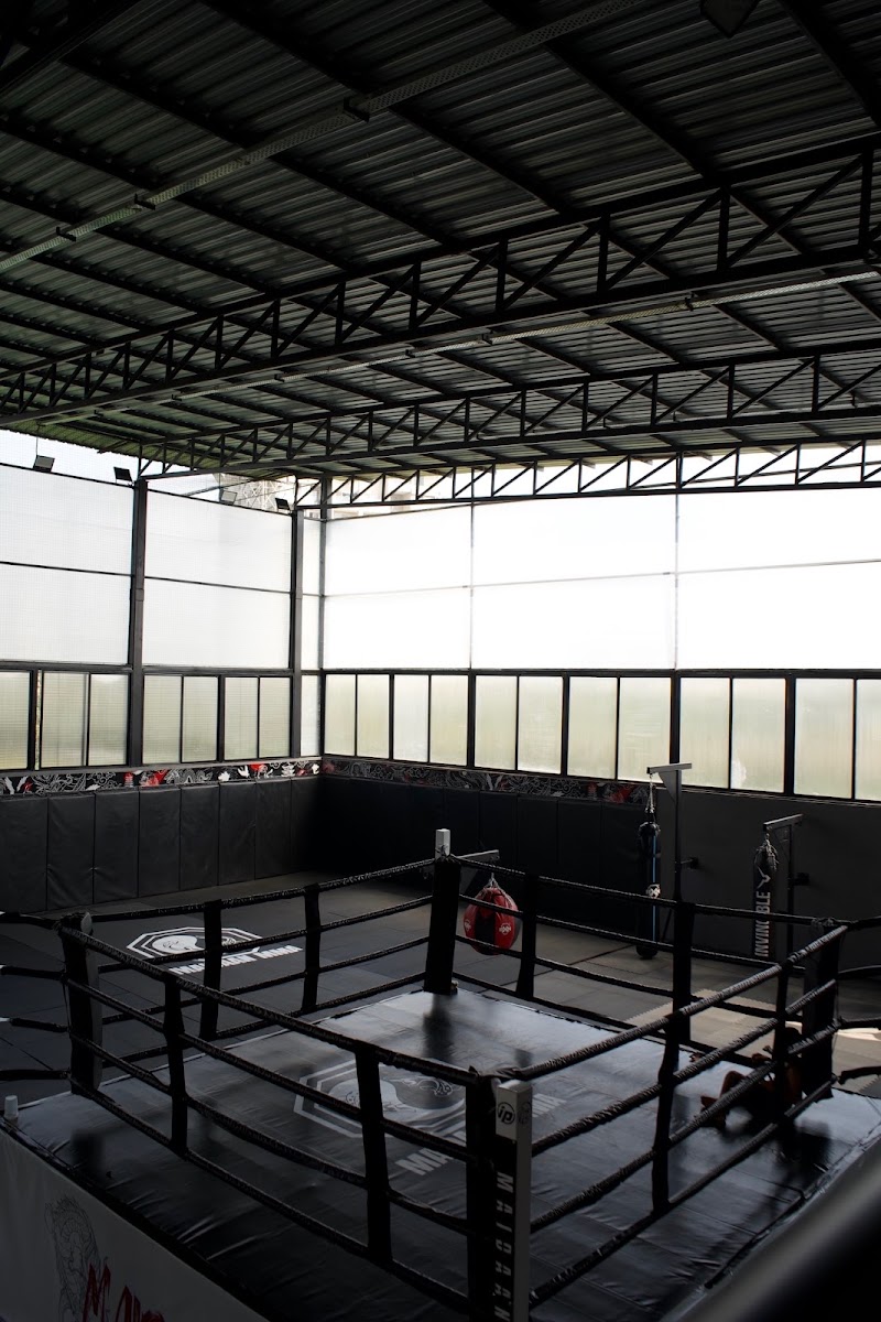 MAIDAAN MMA - Martial Arts Training & Boxing Classes in Undri Pune - MAIDAAN MMA - Martial Arts Training & Boxing Classes in Undri Pune Musclebar Sports Club, behind Hill Green High School, Bellagio, Undri, Pune, Maharashtra 411060, India