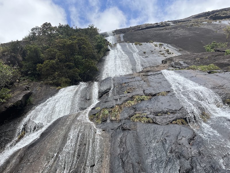 Eravikulam National Park - Eravikulam National Park Kannan Devan Hills, Kerala 685612, India