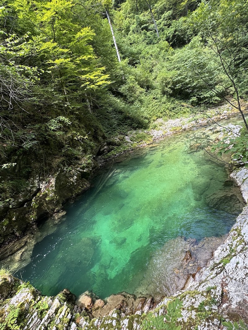 Soteska Vintgar - Soteska Vintgar Turistično društvo Gorje, Podhom 80, 4247 Zgornje Gorje, Slovenia