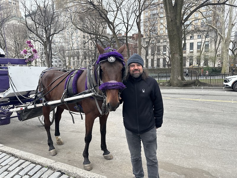 NYC Central Park Horse Carriage Rides since 1858 - NYC Central Park Horse Carriage Rides since 1858 7th Ave & 59th Street, 180 Central Park S Drive, New York, NY 10019, USA