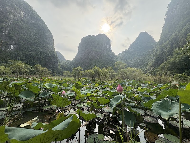 Dundj Valley - Dundj Valley, Nam Hoa Lu, Ninh Binh 08100, Vietnam
