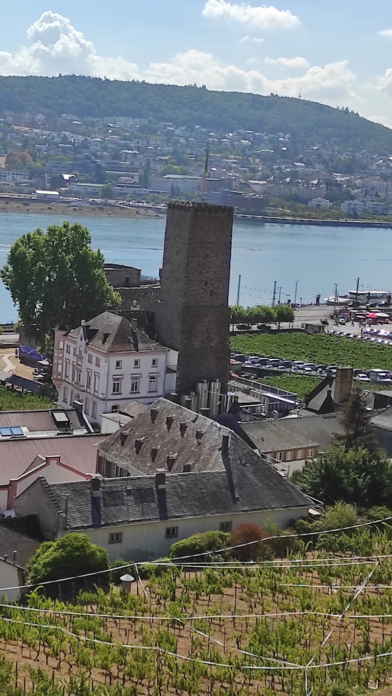 Rüdesheim am Rhein - Rüdesheim am Rhein, 65385 Rüdesheim am Rhein, Germany
