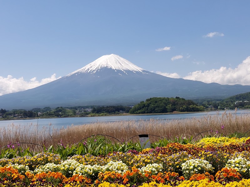 Oishi Park