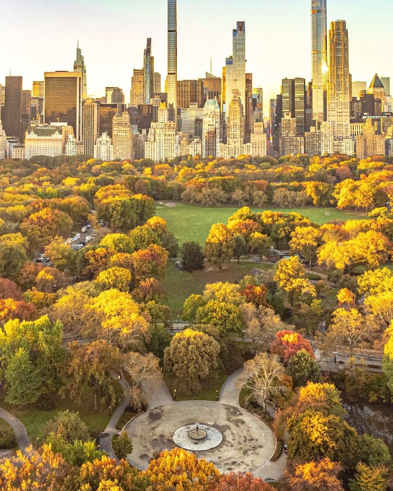 Central Park - Central Park New York, NY, USA