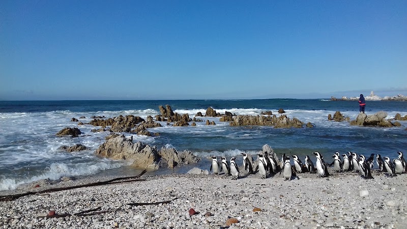 Betty's Bay west - Betty's Bay west, Betty's Bay, 7141, South Africa