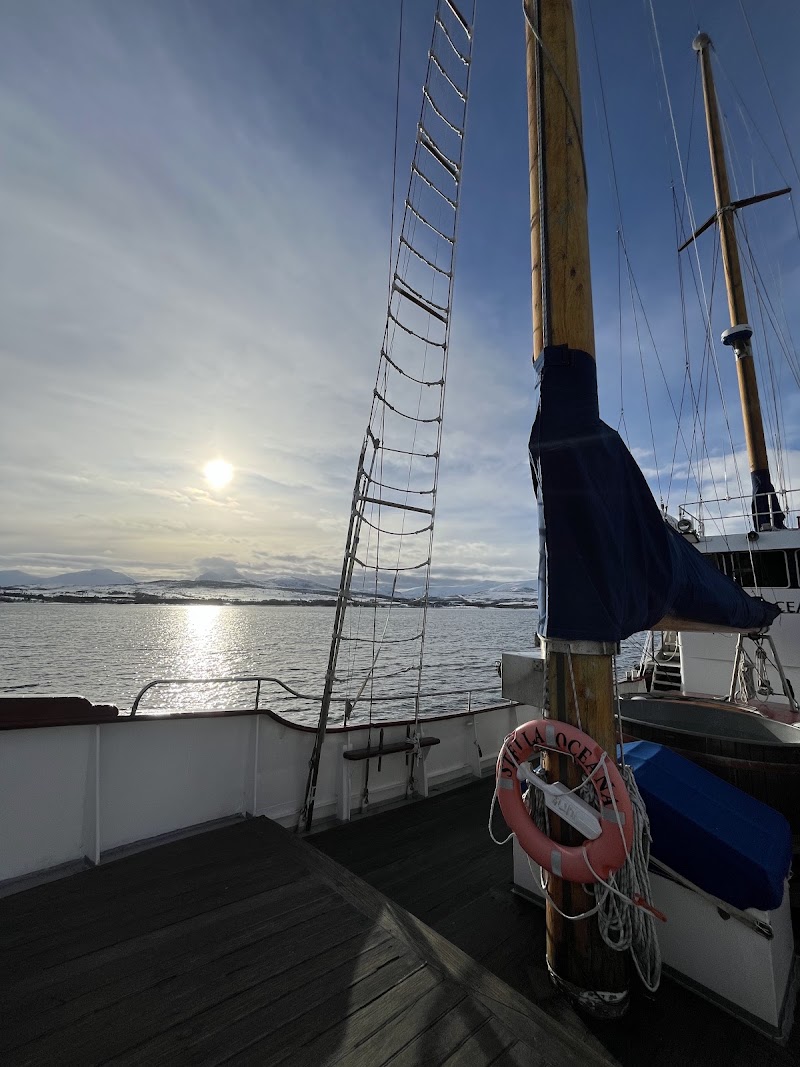 World Sea Explorers - World Sea Explorers Sjøgata 35, 9291 Tromsø, Norway