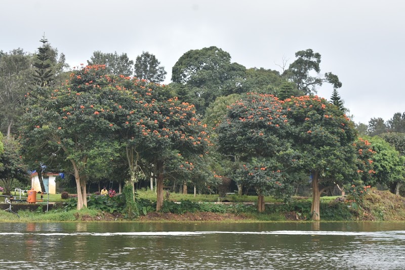 Yercaud Lake - Yercaud Lake Yercaud Lake, Tamil Nadu 636602