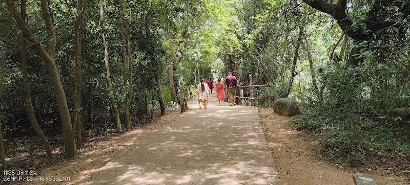 Auroville Visitors Entrance - Auroville Visitors Entrance 2R22+Q8H, Auroville, Irumbai, Tamil Nadu 605101, India