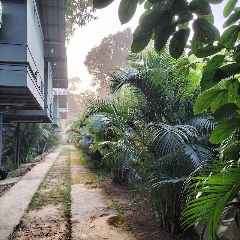 WAYANAD WILDLIFE RESORT