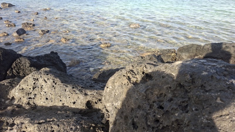 Palmar beach - Palmar beach, Quatre Cocos, Mauritius