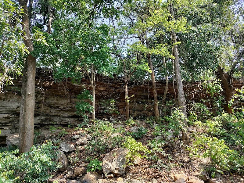 Lingodarha Waterfall - Lingodarha Waterfall, 3GF9+GQ, Bavnimari, Chhattisgarh 494331, India