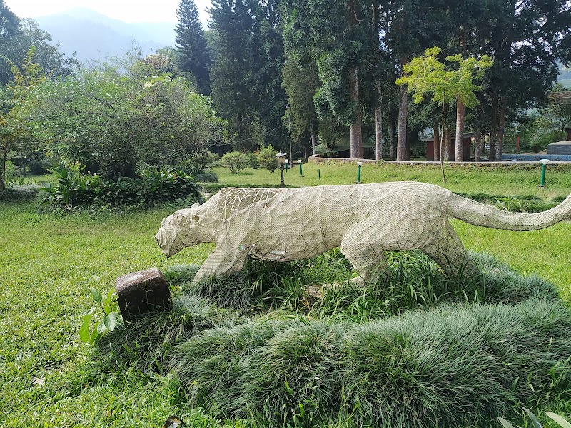 Saramsa Garden - Saramsa Garden 7HGV+RWX, Sikkim 737135, India