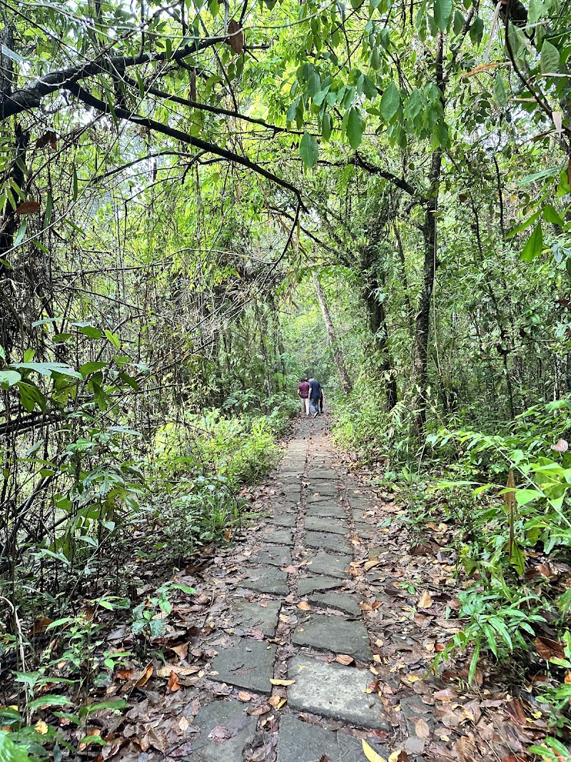 Kumarakom Bird Sanctuary - Kumarakom Bird Sanctuary, Kavanattinkara, Kumarakom, Kerala 686563, India