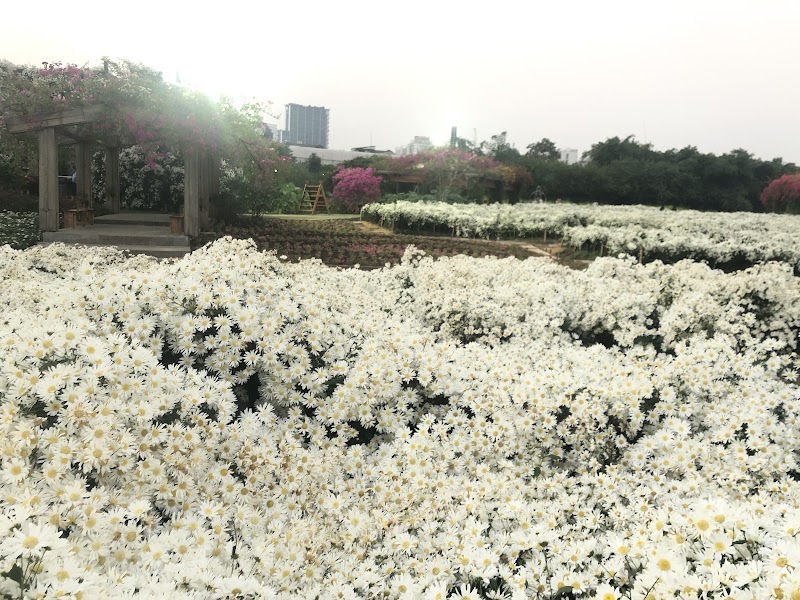 Thung lũng hoa hồ Tây - Thung lũng hoa hồ Tây, Ngã 3 P. Nhật Chiêu, Tây Hồ, Hà Nội, Vietnam