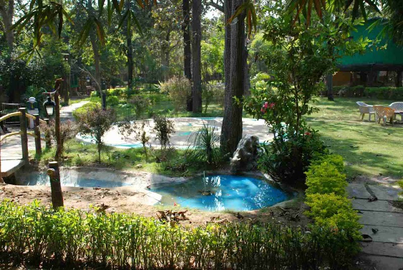 Tiger Woods Kanha Resort & Spa (Tiger Sanctuary) - Tiger Woods Kanha Resort & Spa (Tiger Sanctuary) Mocha Kanha, Kisli, Mocha, Madhya Pradesh 481768, India
