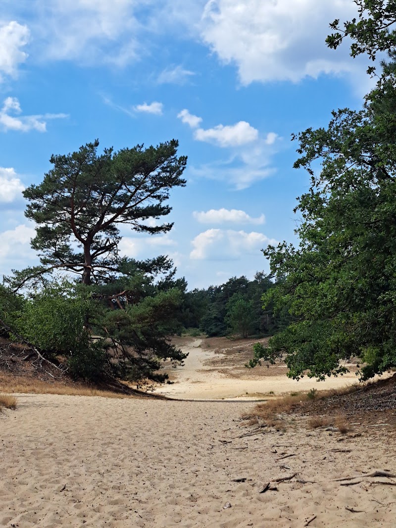 The Loonse and Drunense Duinen National Park - The Loonse and Drunense Duinen National Park, 5151 RG Drunen, Netherlands