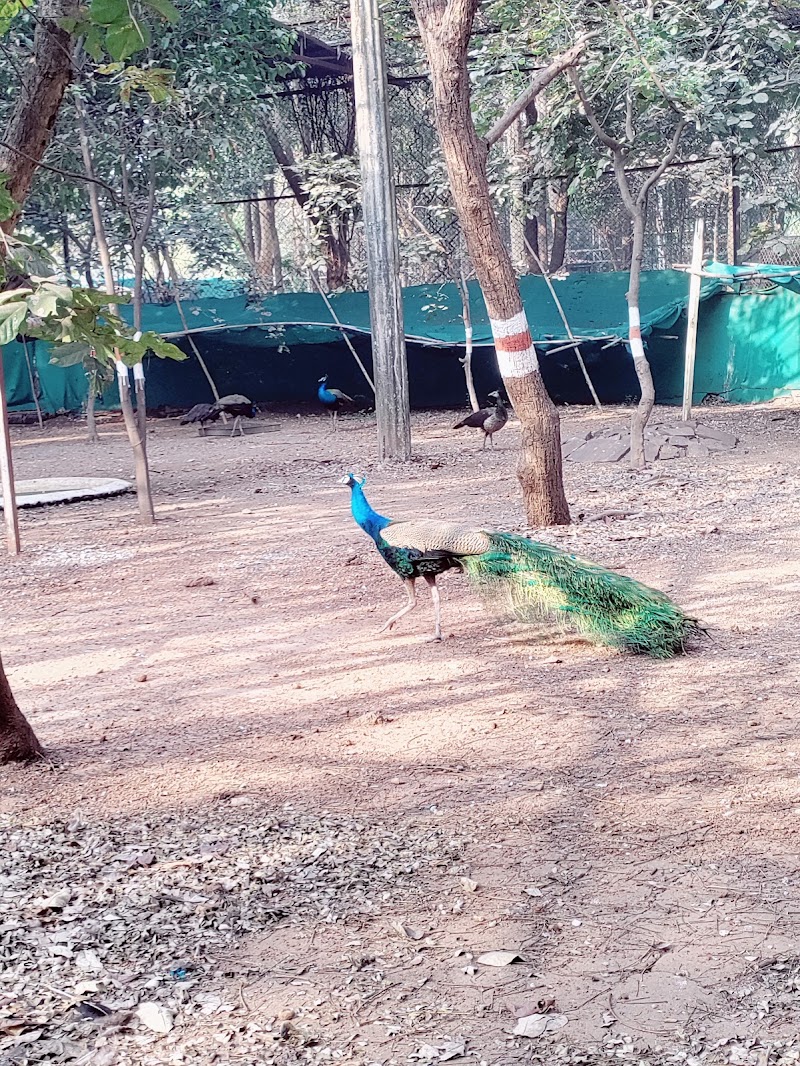 Nandan Van Zoo - Nandan Van Zoo 7GMV+8FV, Atari, Hatband, Chhattisgarh 492099, India