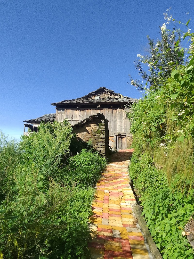 Hill apple garden home stay juhad village - Hill apple garden home stay juhad village, Village, juhad, P.O, Duhad, FCJ2+FG4, Teh, Anni, Karad, Himachal Pradesh 172026, India