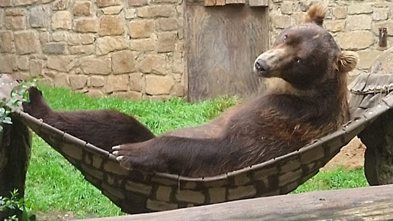Děčín Zoo