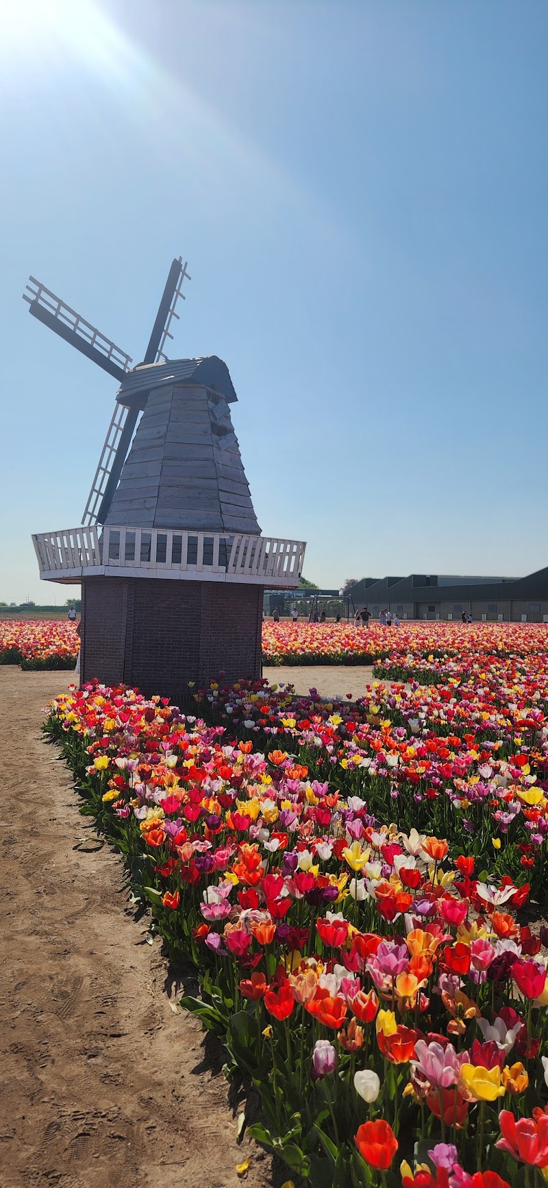 Flagship Tours - Departure Location - Flagship Tours - Departure Location, Termini 27, 1025 AZ Amsterdam, Netherlands