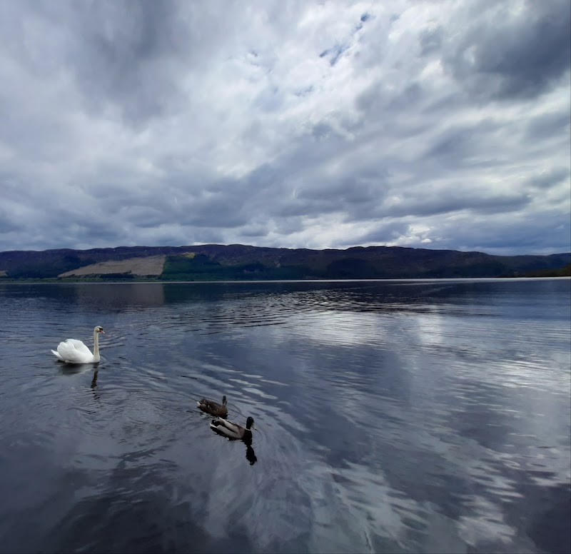 Castle Cruises Loch Ness - Castle Cruises Loch Ness, Loch Ness Hub & Travel, Drumnadrochit, Inverness IV63 6TX, UK