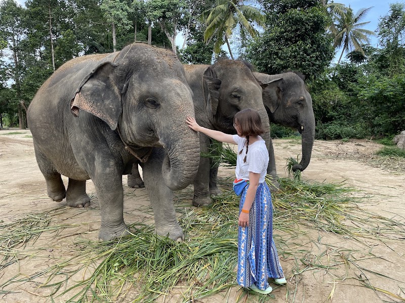 Elephant Jungle Sanctuary Samui (Soi 2 Branch)