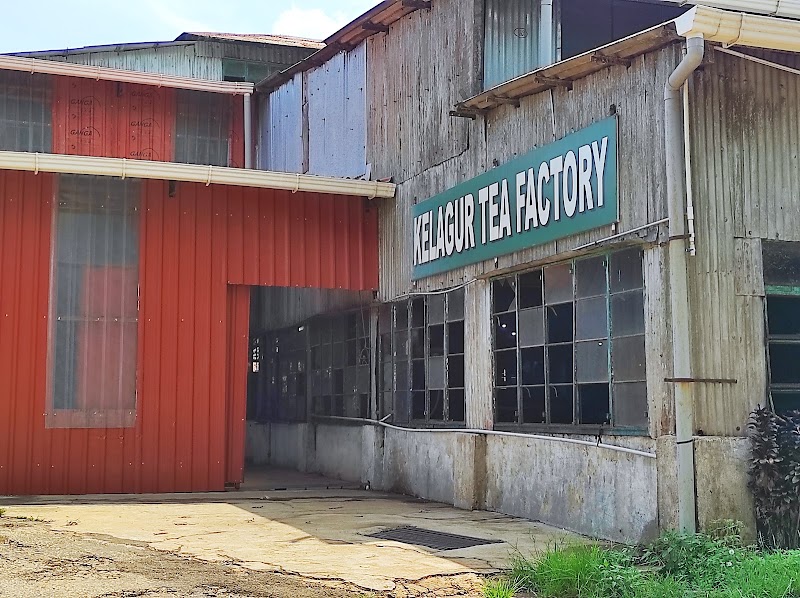 Kelagur Tea Factory - Kelagur Tea Factory, 5F27+H5R, Kelagur, Megur, Karnataka 577122, India