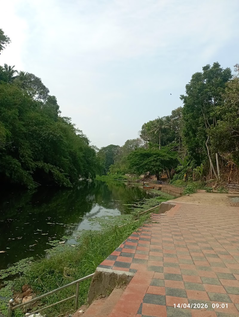 Karamana river view point