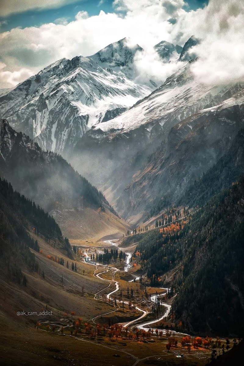 Zojila Pass - Zojila Pass, Forest Block 191202