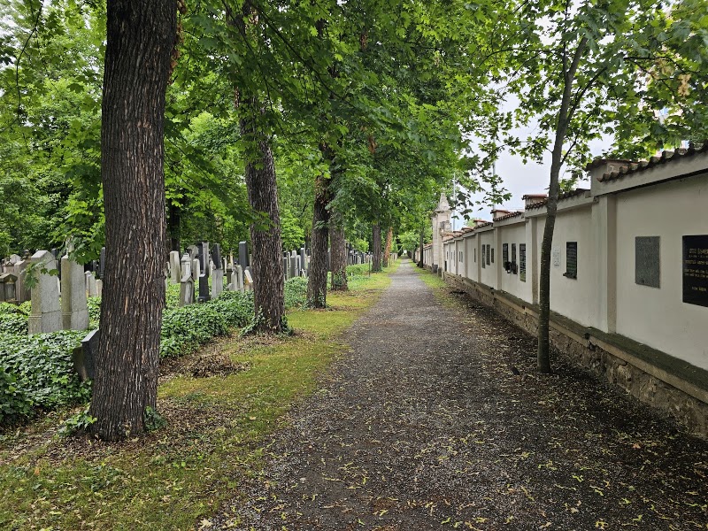 Friedhof Praha (Franz Kafka Grave) - Friedhof Praha (Franz Kafka Grave), Izraelská 1, 130 00 Praha 3, Czechia
