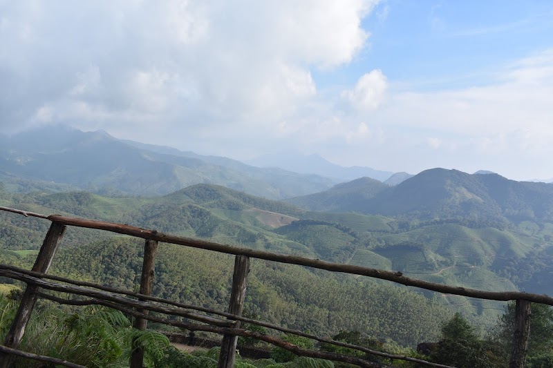 Neelakurinji bloom - Neelakurinji bloom, Aluva - Munnar Road, Kannan Devan Hills, Kerala 685615, India