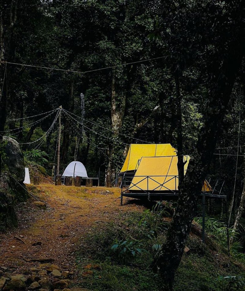 Wayanad resorts - Wayanad resorts Wayanad, Kunnathidavaka, Kerala 673576, India