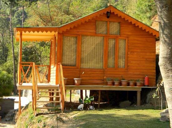 VAYDIC RESORT YOGA RETREAT - VAYDIC RESORT YOGA RETREAT nandoh road, Kasauli, Himachal Pradesh 173204, India