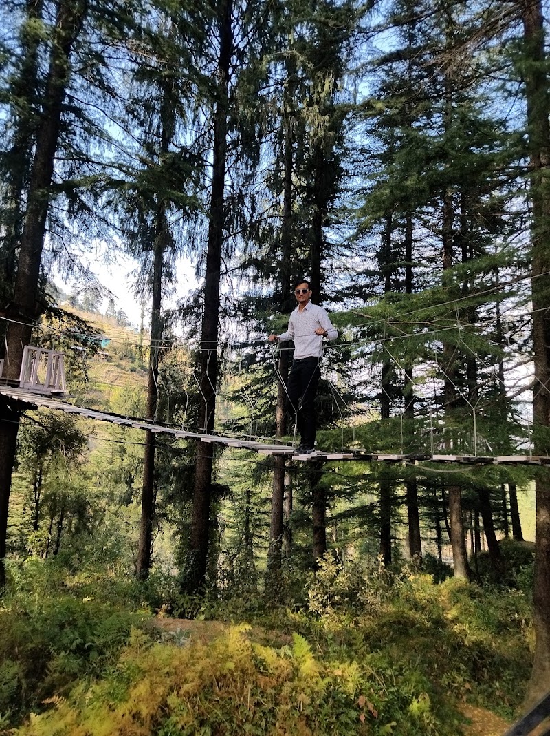 Janjehli Camping - Janjehli Camping Vill. Ruhara P.O Janjehli Teh. Thunag Distt. Mandi (H.P), Shikari Temple Rd, Riara, Dhalyar, Himachal Pradesh 175047, India
