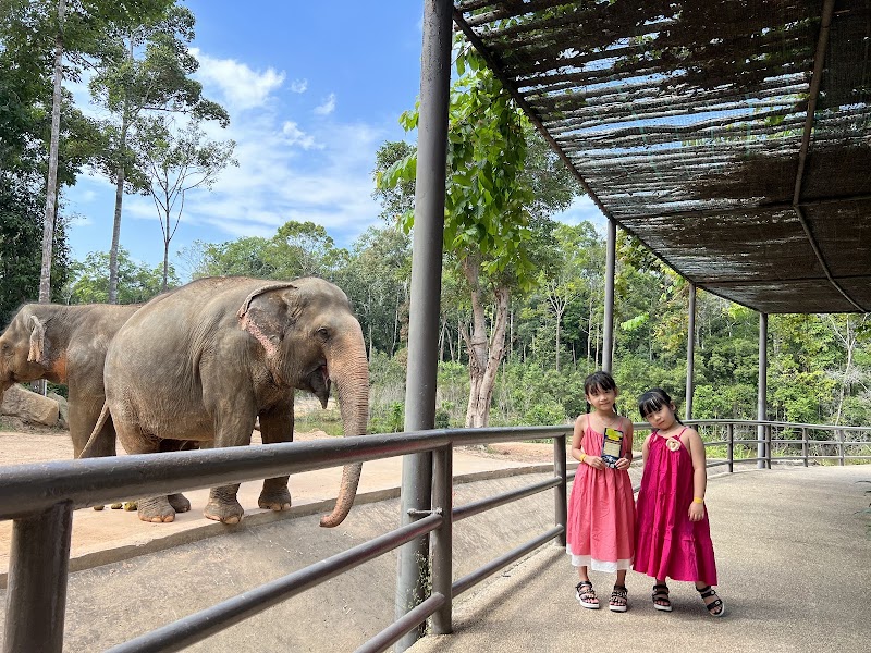 Vinpearl Safari Phú Quốc - Vinpearl Safari Phú Quốc Bãi Dài, Gành Dầu, Phú Quốc, An Giang 922200, Vietnam