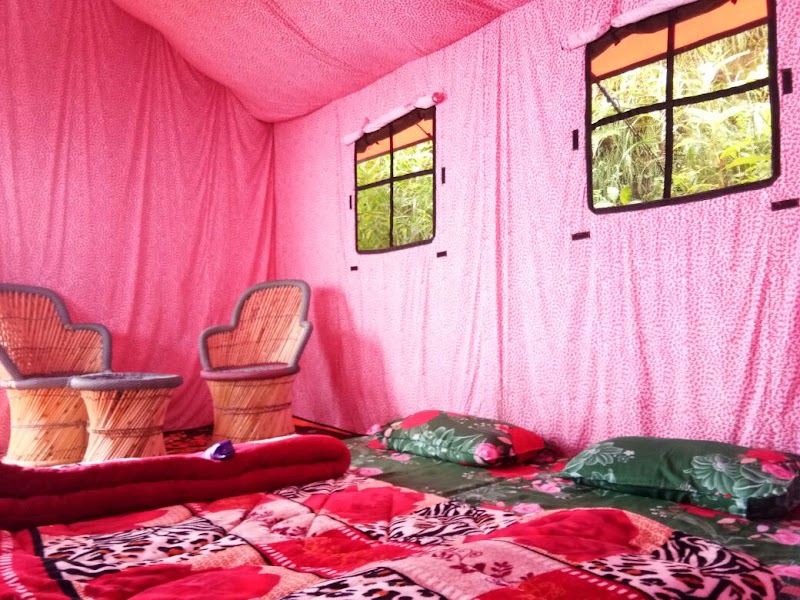 Himalayan Yew Camps And Homestay -- By Raasta stays - Himalayan Yew Camps And Homestay -- By Raasta stays Village Nagrot P.O. Narkanda, Teh, Distt, Kumarsain, Himachal Pradesh 171213, India