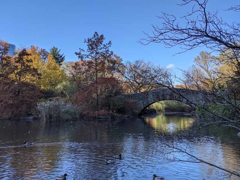 Central Park South - Central Park South Central Park S, New York, NY, USA