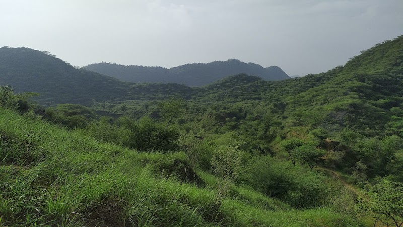 Neemrana - Neemrana X96G+4MX, Jaipur - Delhi Expy, near RSL PG, Neemrana, Majrakath, Rajasthan 301705, India