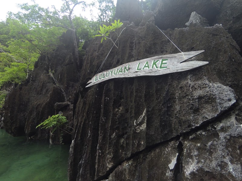 Barracuda Lake - Barracuda Lake Barracuda Lake, Coron, Palawan, Philippines