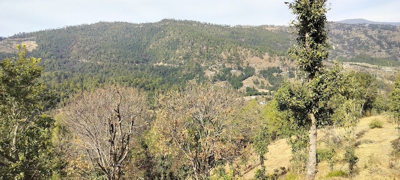 Malla Dhura - Malla Dhura M53H+G6M, Chamkana Dhura, Talli Pokhari, Uttarakhand 263676, India