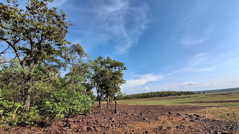 MULLEGUDA PIG FARM - MULLEGUDA PIG FARM, J6PQ+PQ, Mullegura, Chhattisgarh 491227, India